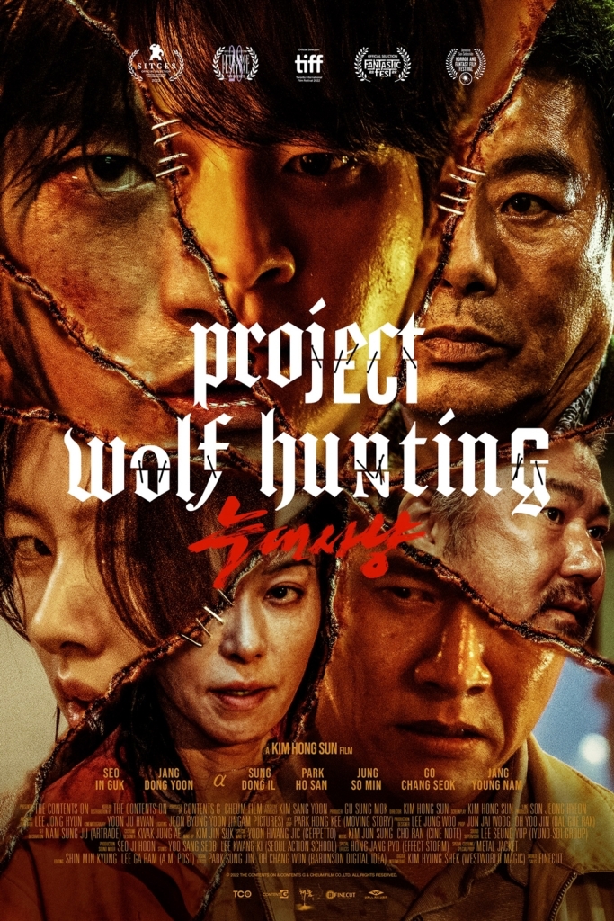 The film poster showing the main characters' faces as if stitched together.